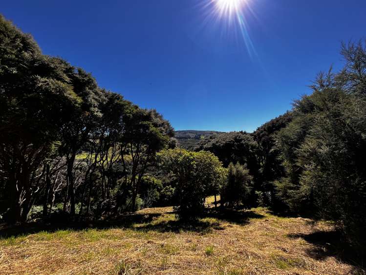 24 Fred Hollows Way_0