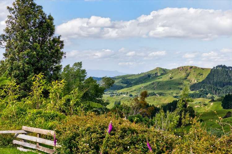 551 Parikanapa Road Tiniroto_59