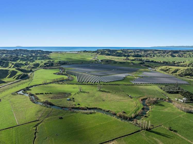Waiotahe Valley Road_0