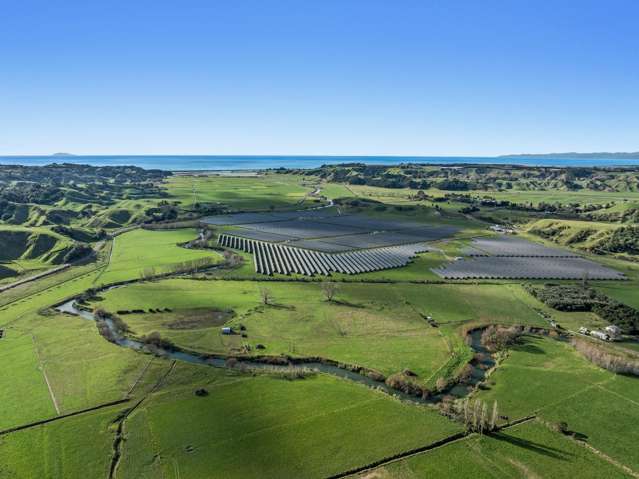 16.18 Hectares Flat and Fertile
