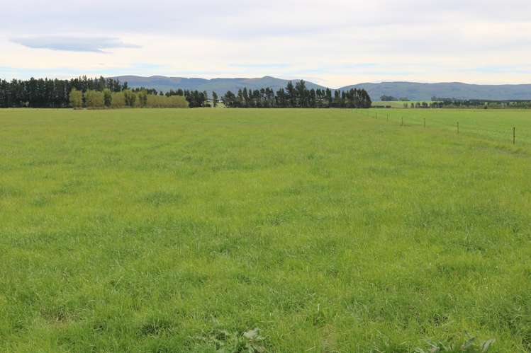 195 Dunn and Cody Road Riversdale_24