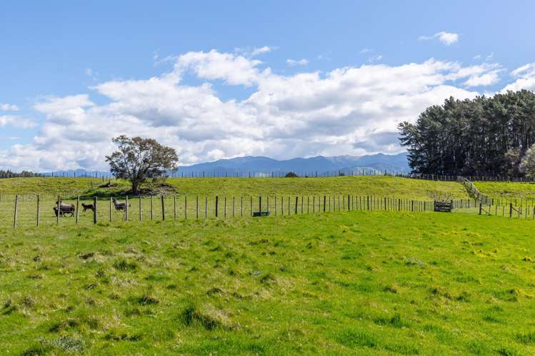 769 State Highway 2 Masterton_36