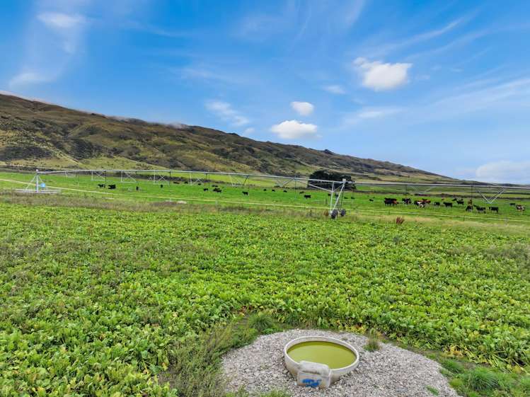 7797 Hyde-Middlemarch Road Middlemarch_8