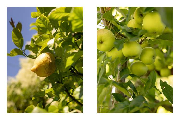 22 Hynds Road Gate Pa_27