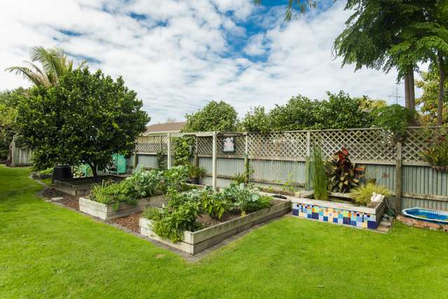 22 Muir Street Te Hapara_4