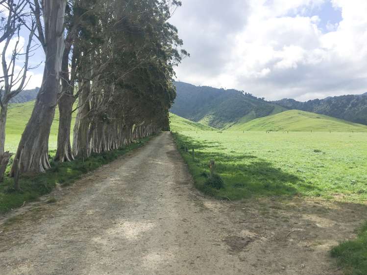 1550 Top Grass Road Rangitikei Surrounds_5