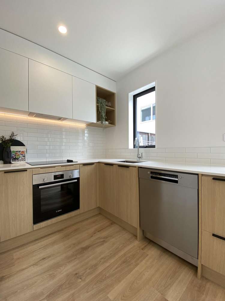 3 Hochstetter Stonefields_7