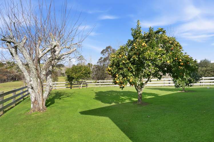 37 Pataua North Road Whareora_23
