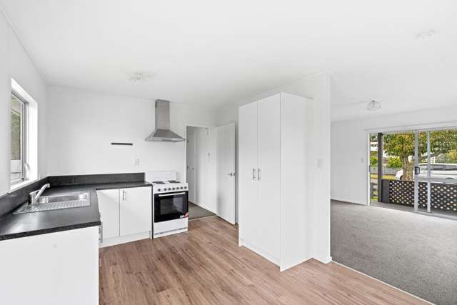 9 Guy Avenue Levin_1