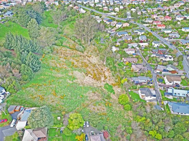 18A Barr Street Kenmure_4