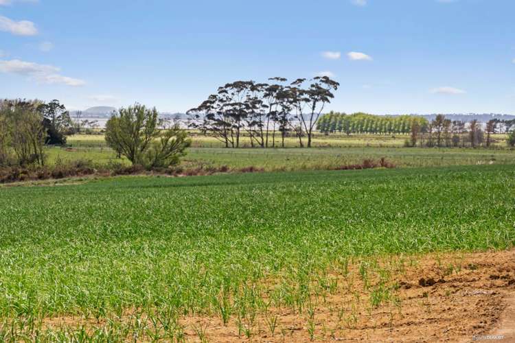 230 Wright Road Waiau Pa_12