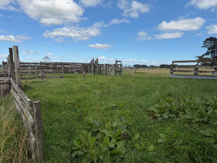 9A Cnr Tamaki East/West Roads Dannevirke_7