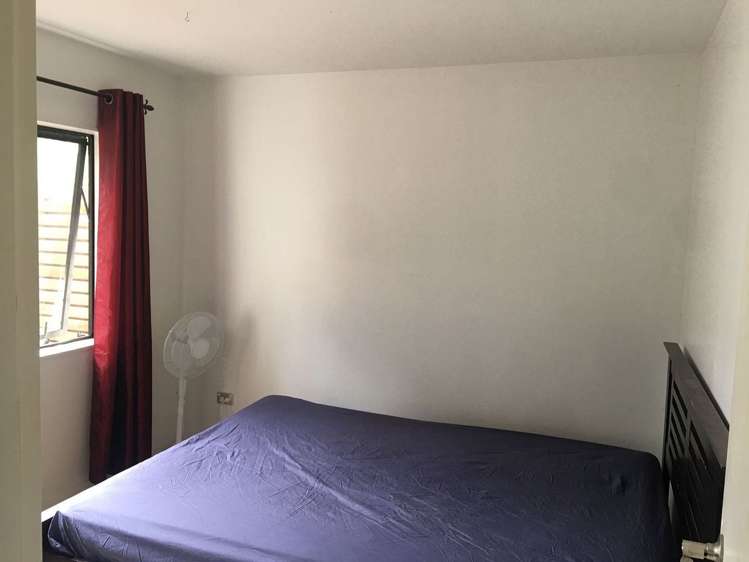 219A Gills Road Albany_17