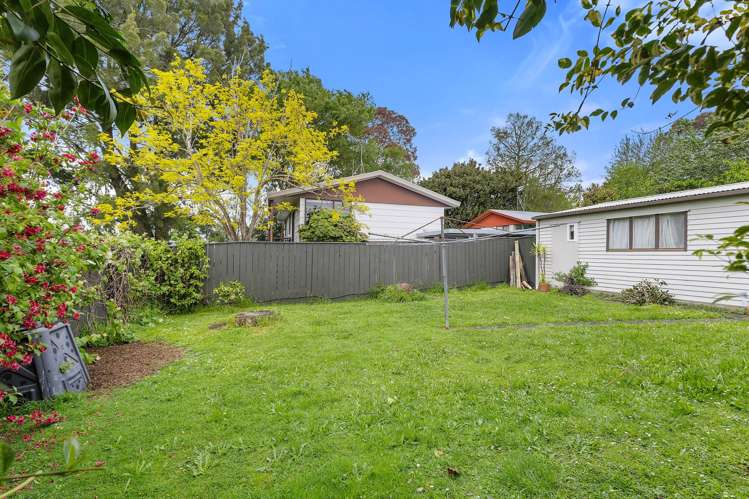 39 Hibiscus Avenue Hamilton Lake_16
