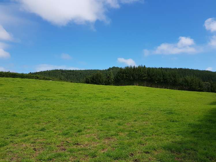 4969 Pouto Road Pouto_3