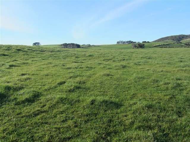 158 Tihaka Beach Road Riverton & Surrounds_1