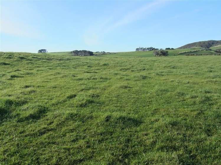 158 Tihaka Beach Road Riverton & Surrounds_1