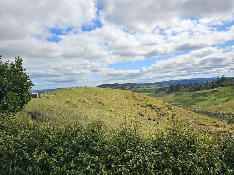 113C Marua Road Hikurangi_39