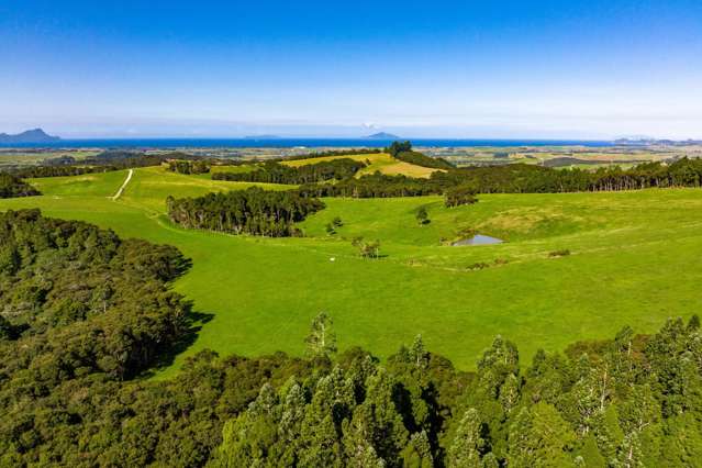 Magical bush block - views, waterfalls and privacy