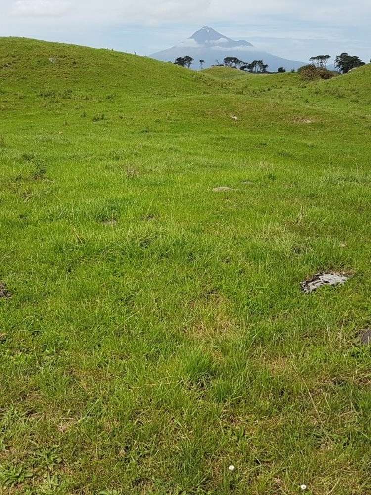 153 Tipoka Road Rahotu_19