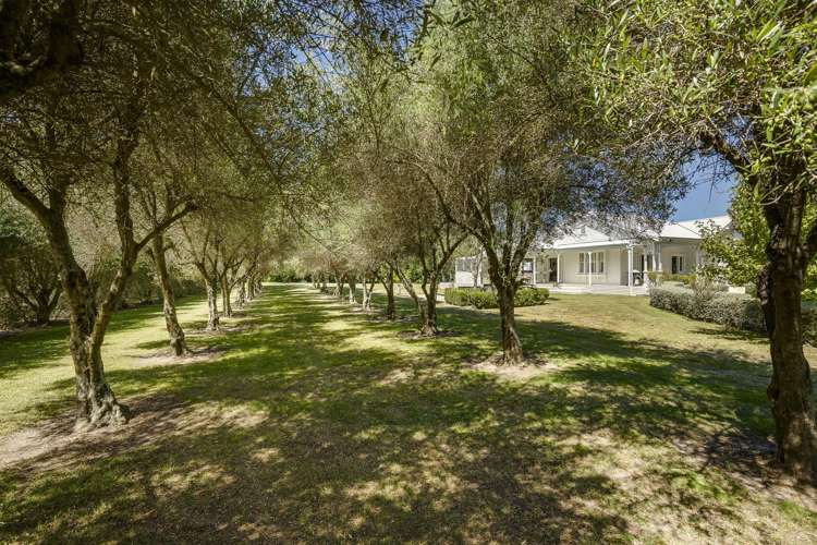 19 Tuki Tuki Road Haumoana_8