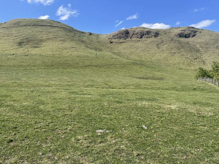 Corner Te Aute Trust Road and Aupaki Road Poukawa_19