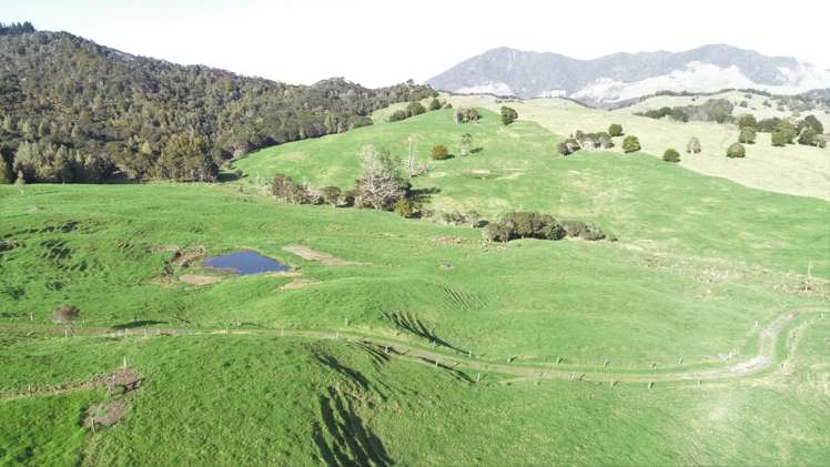 386 Pawarenga Road Broadwood_2