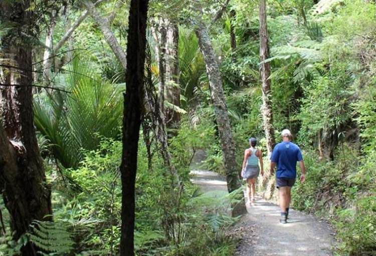 37 9 Paul Sotutu Road Pukekohe_4