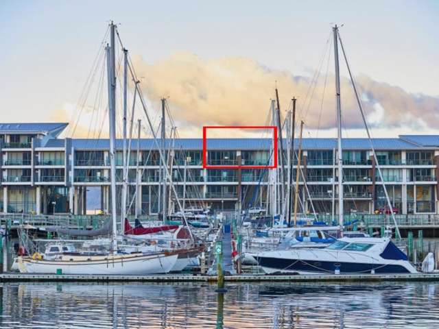 3b/3 Clyde Quay Wharf Te Aro_2