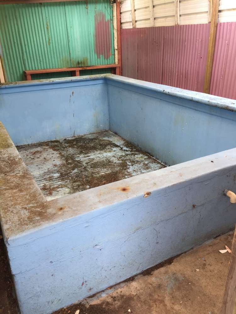 6 Victoria Street Carterton_17