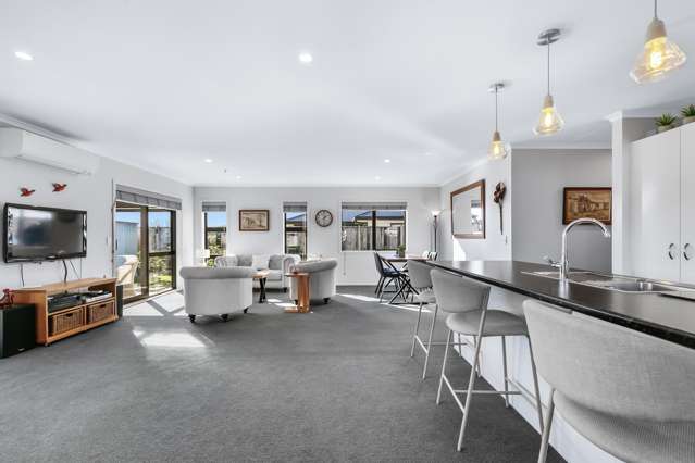 10 Ash Close Levin_4
