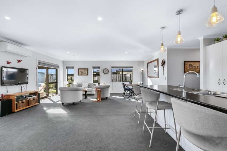 10 Ash Close Levin_6