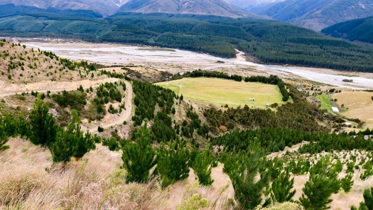 6331 State Highway 63 Wairau Valley_4