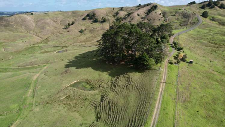 426 Mangarata Block Road Arapohue_1