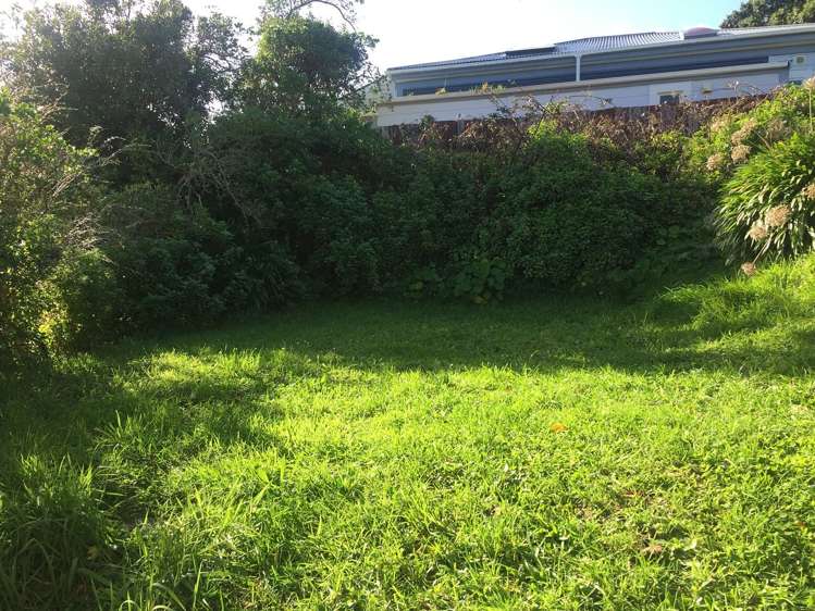 53 Durham Street Aro Valley_10