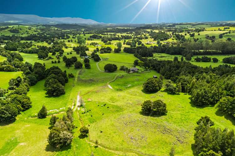 509B Mataraua Road Kaikohe_48