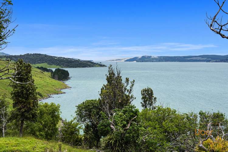 Brindle Road Whirinaki_20