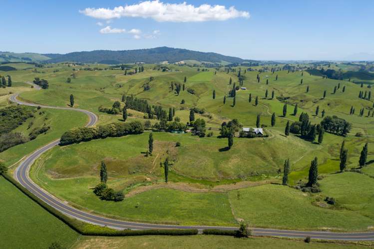 328 Buckland Road Matamata_19