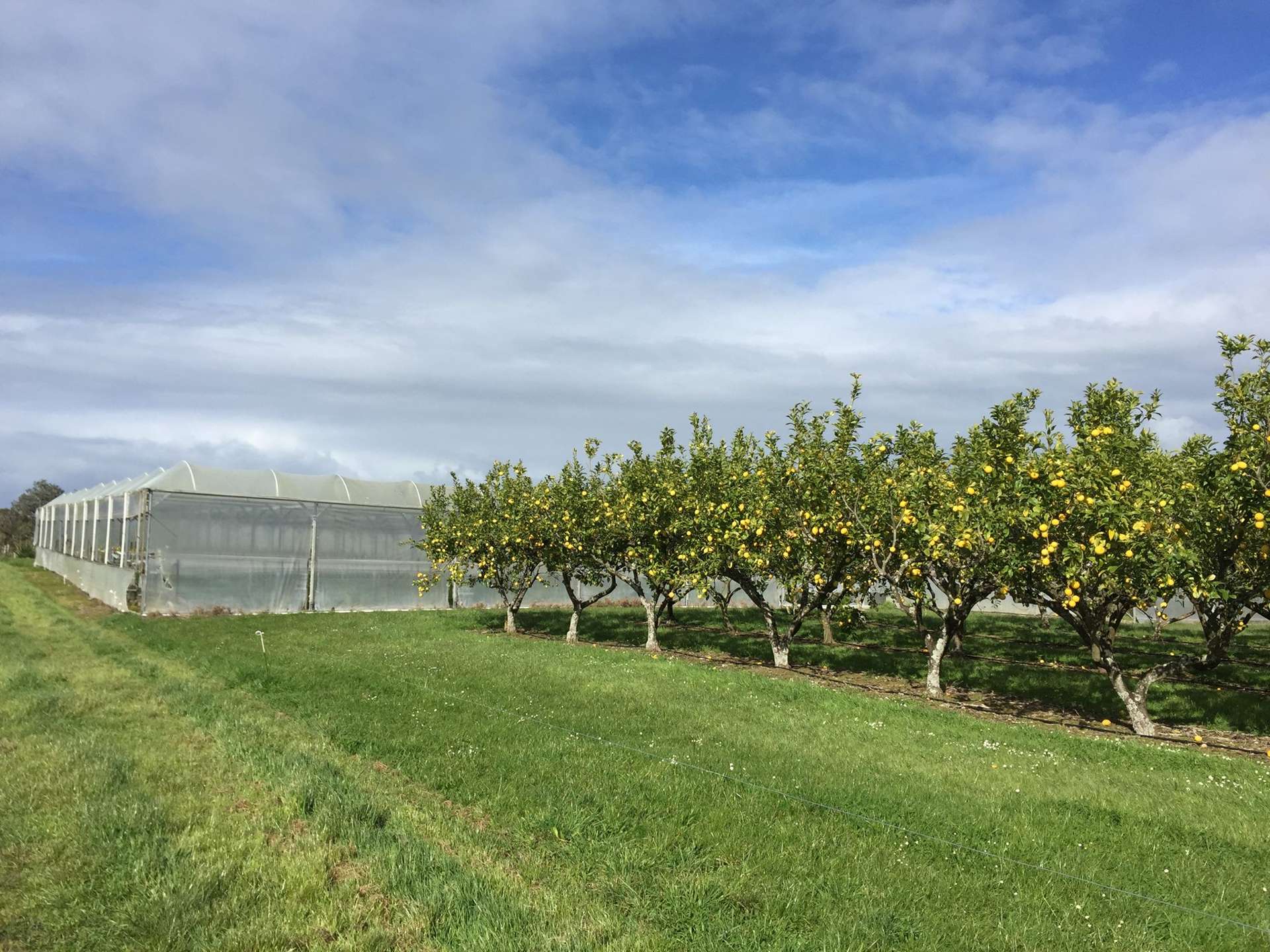 344 Drury Hills Road Drury_0