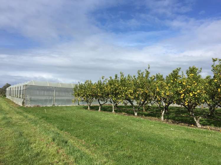 344 Drury Hills Road Drury_0