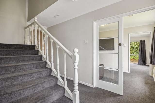 17a Buccleugh Street North East Valley_2