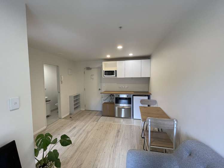 113 Vincent Street Howick_2