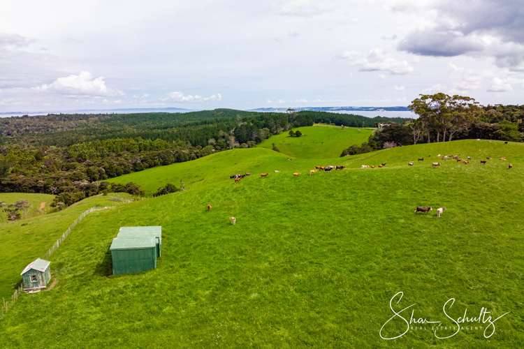 1509 Tinopai Road Tinopai_20