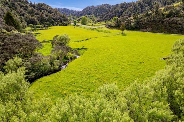 3133 Mokau Road Mokau_2