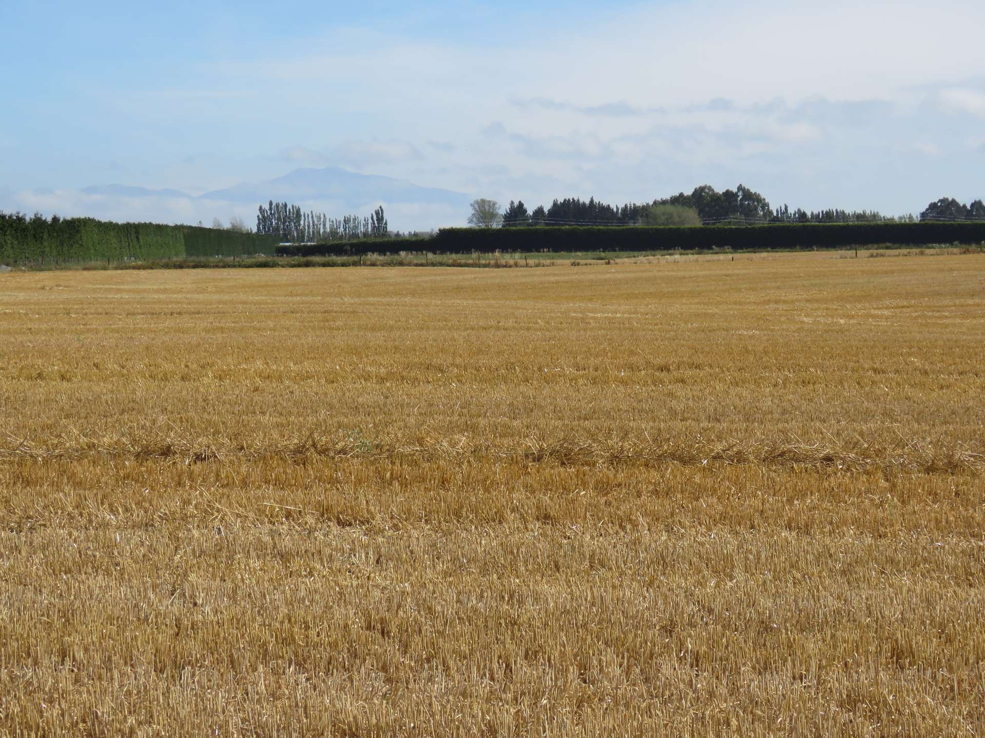 267 Cochranes Road Ashburton_0