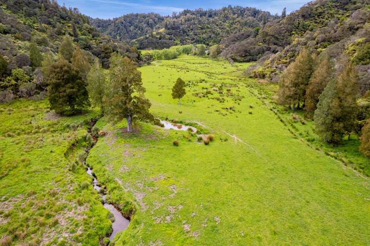 3133 Mokau Road Mokau_8