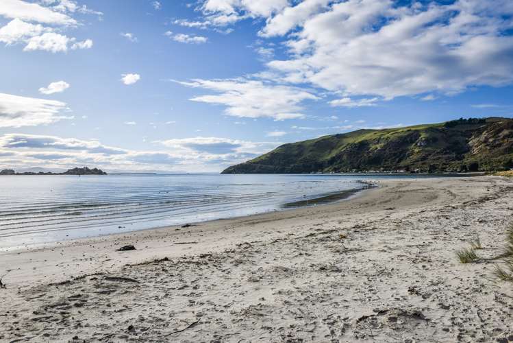 865a Harington Point Road Harington Point_23