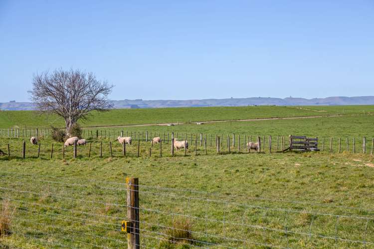 345 Waihakeke Road Carterton_7