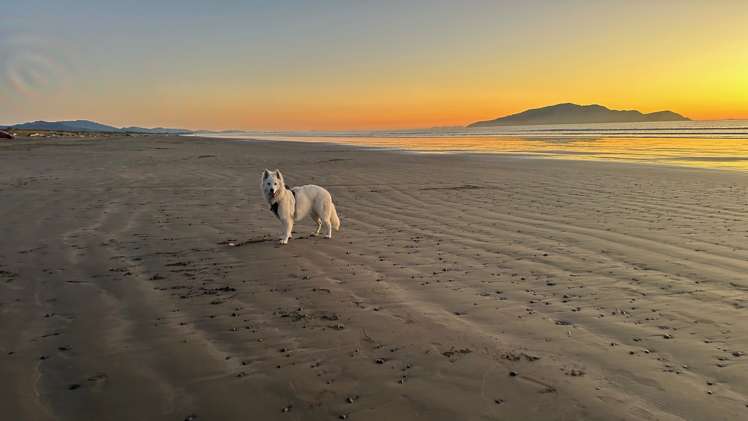 31 Rodney Avenue Te Horo_29