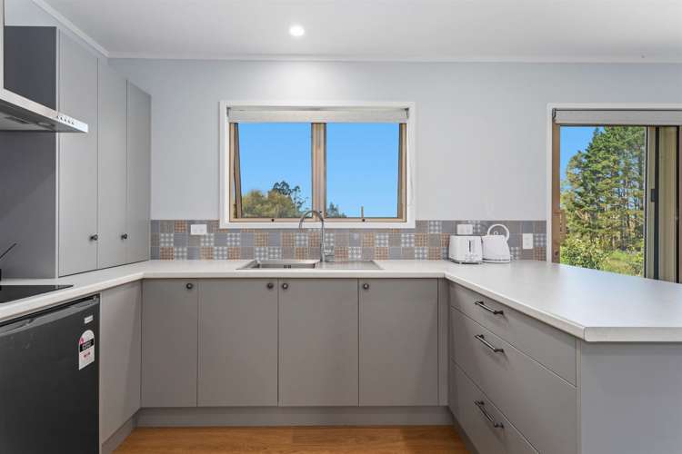 4 Pukeko Lane Rotoma_15